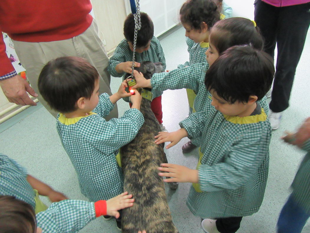 escuela-infantil-carabanchel