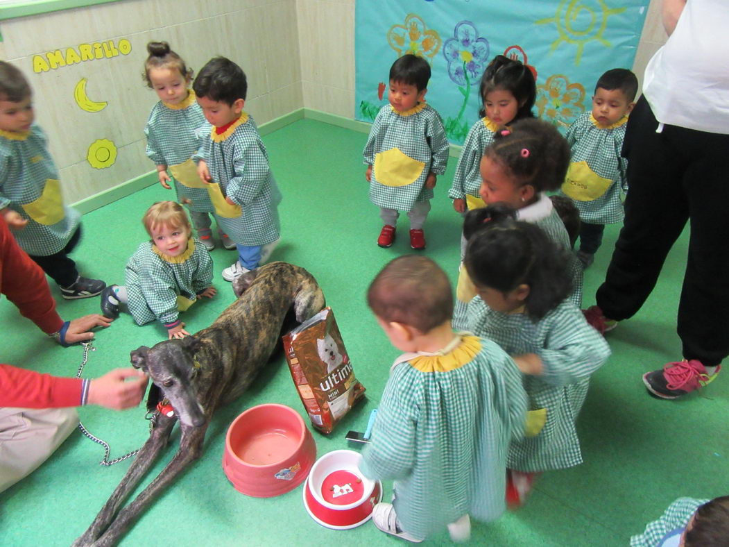 escuela-infantil-carabanchel