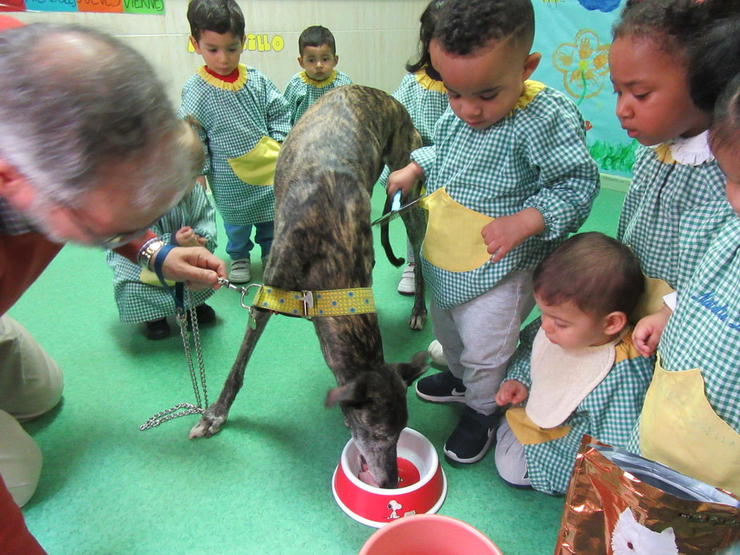 escuela-infantil-carabanchel