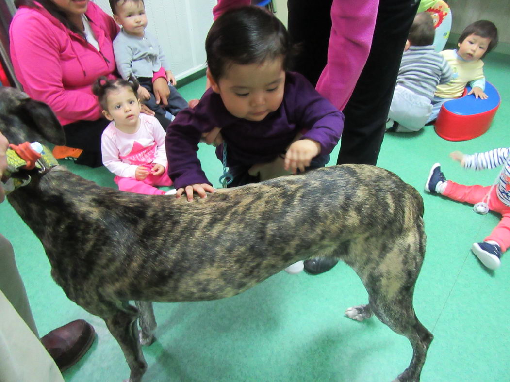 escuela-infantil-carabanchel