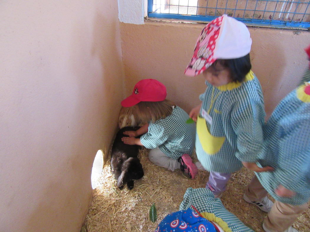 escuela-infantil-carabanchel