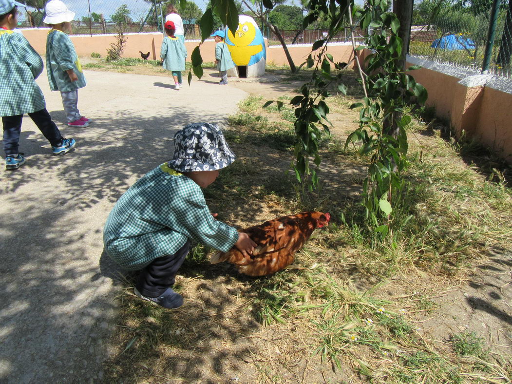 escuela-infantil-carabanchel