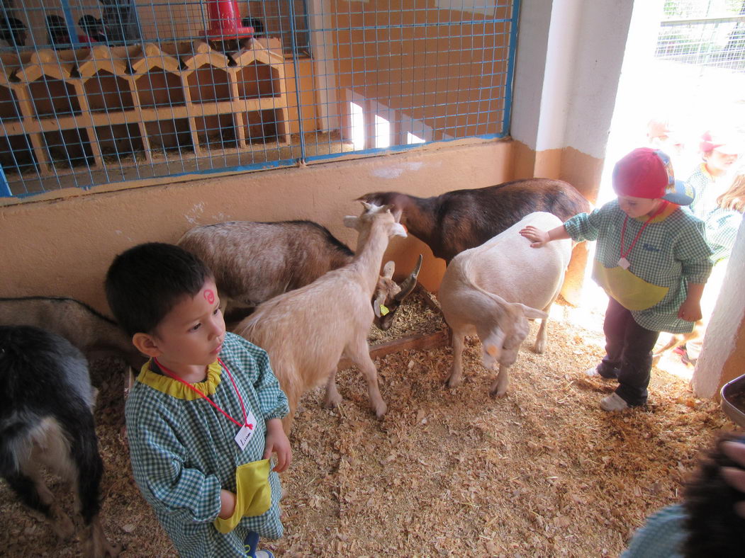 escuela-infantil-carabanchel