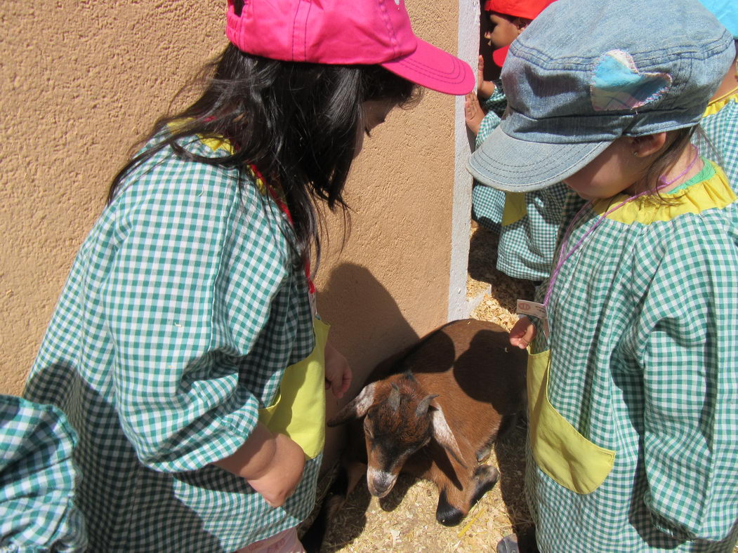 escuela-infantil-carabanchel