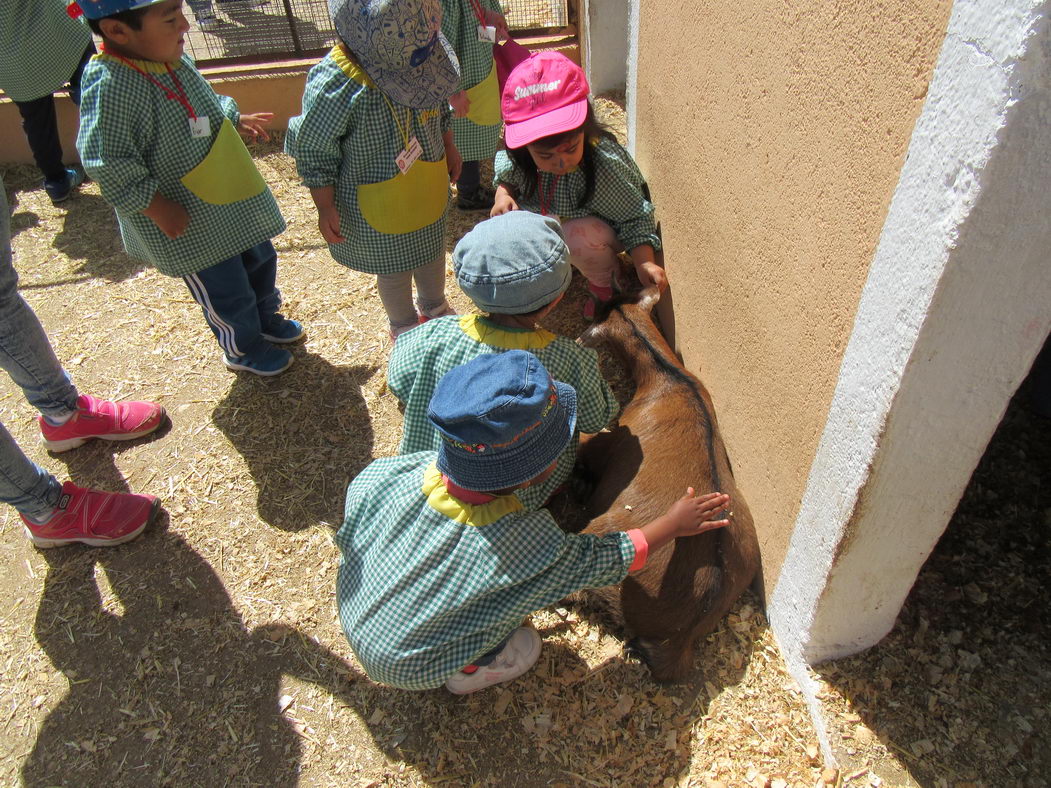 escuela-infantil-carabanchel