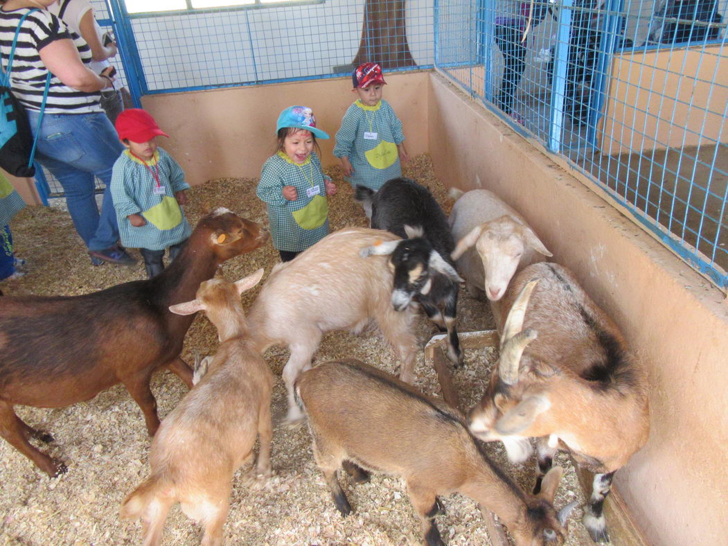 escuela-infantil-carabanchel