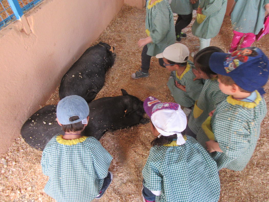 escuela-infantil-carabanchel