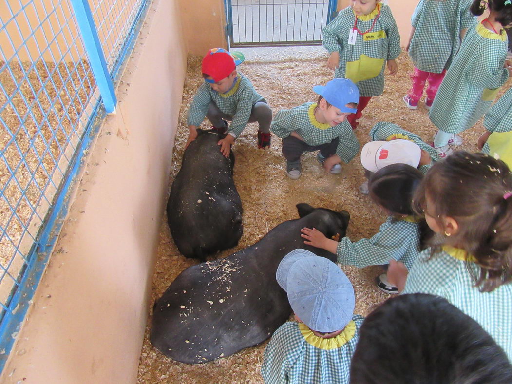 escuela-infantil-carabanchel