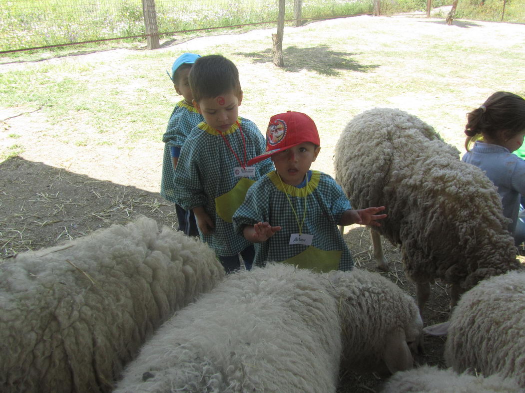 escuela-infantil-carabanchel