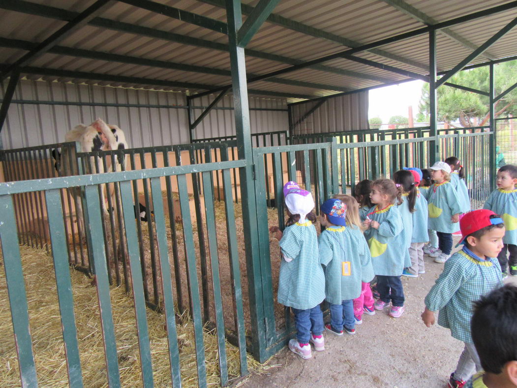 escuela-infantil-carabanchel