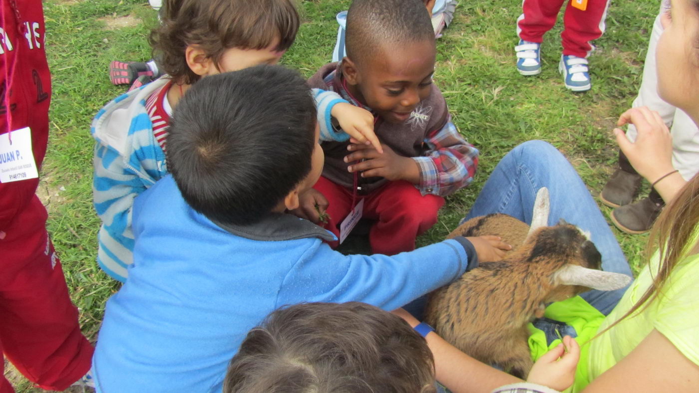 escuela-infantil-carabanchel