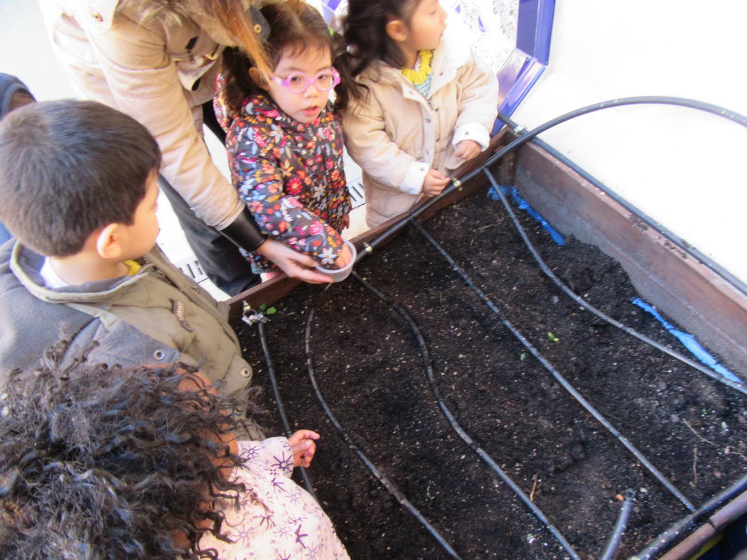 escuela-infantil-carabanchel