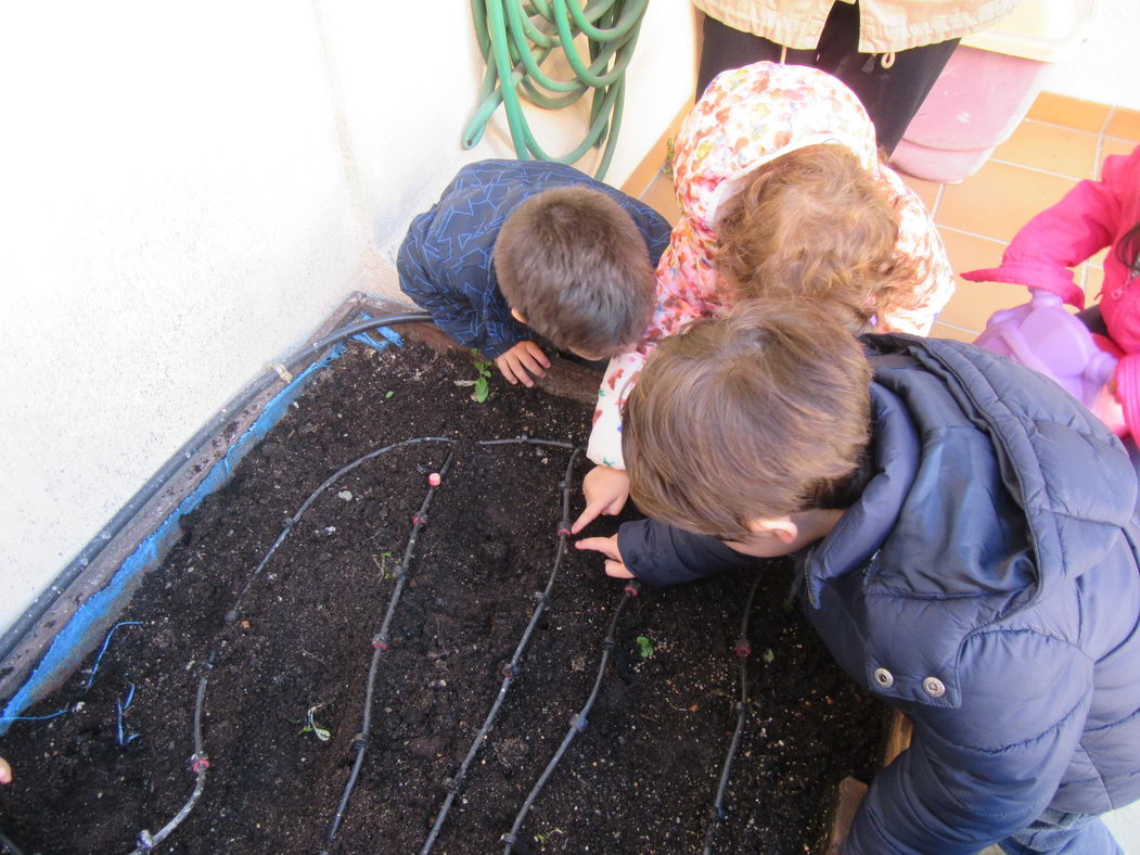 escuela-infantil-carabanchel