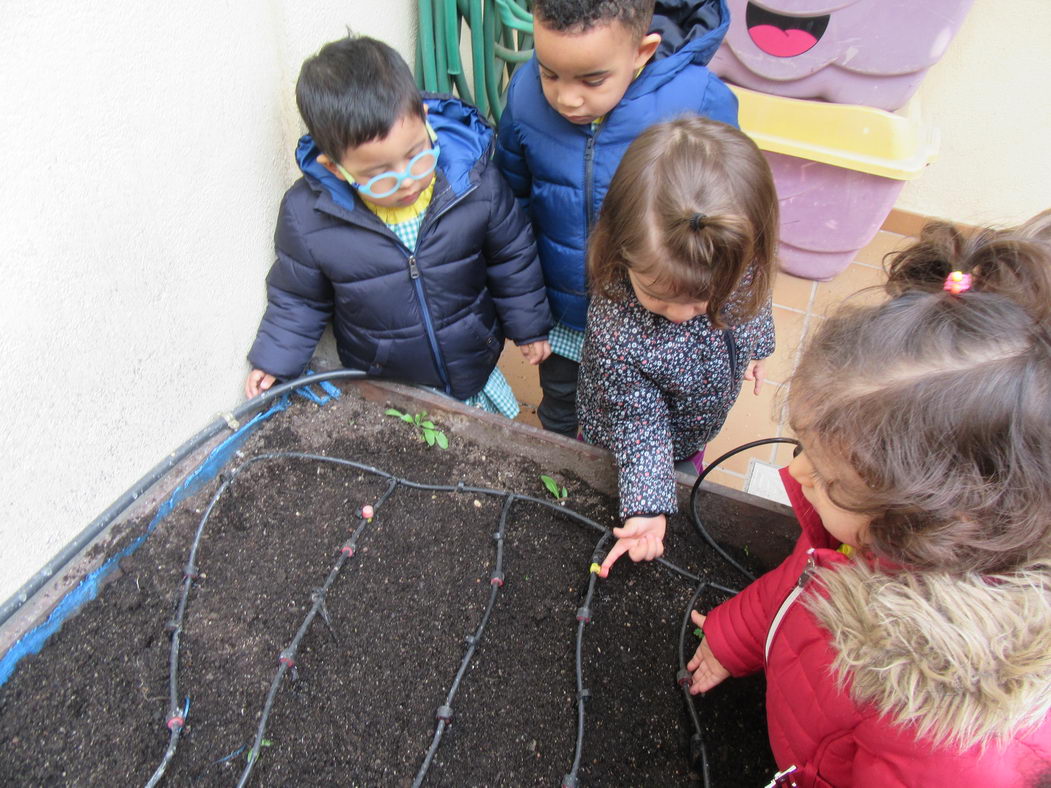 escuela-infantil-carabanchel