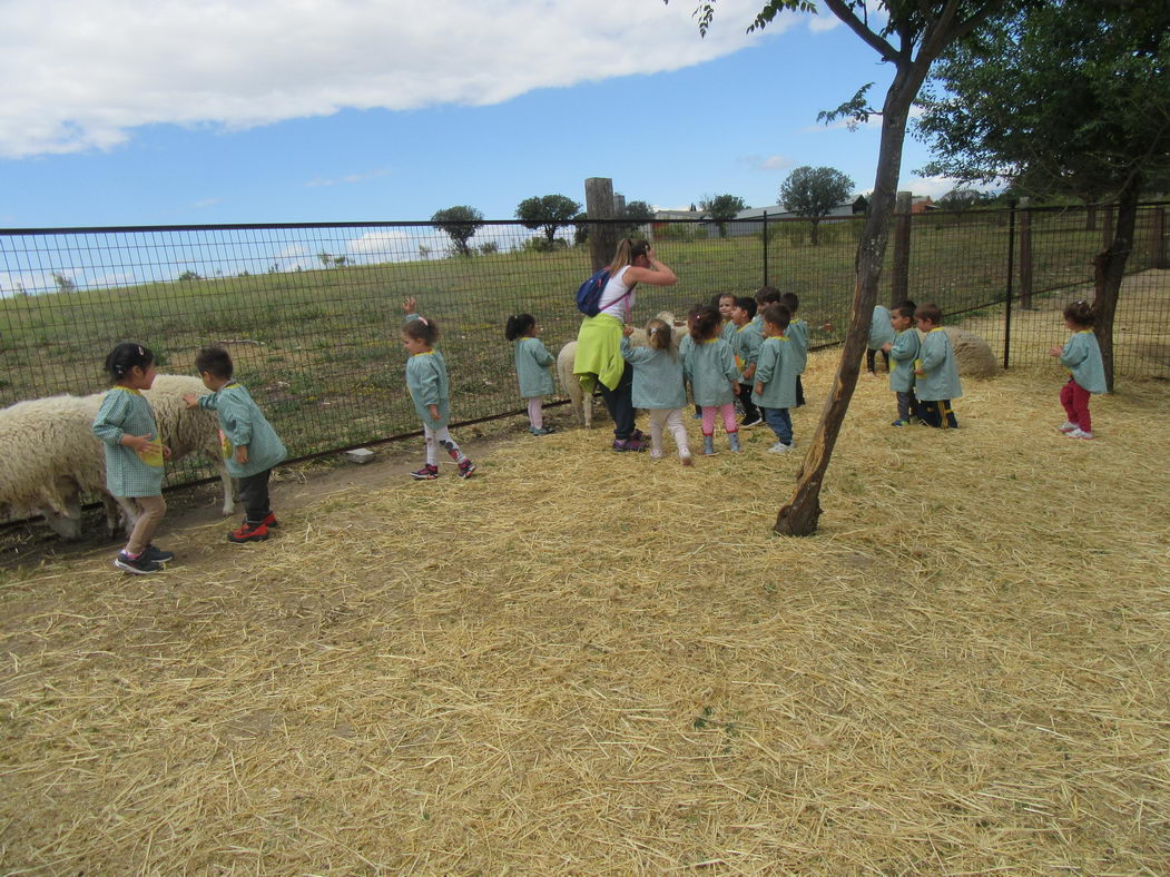 escuela-infantil-carabanchel