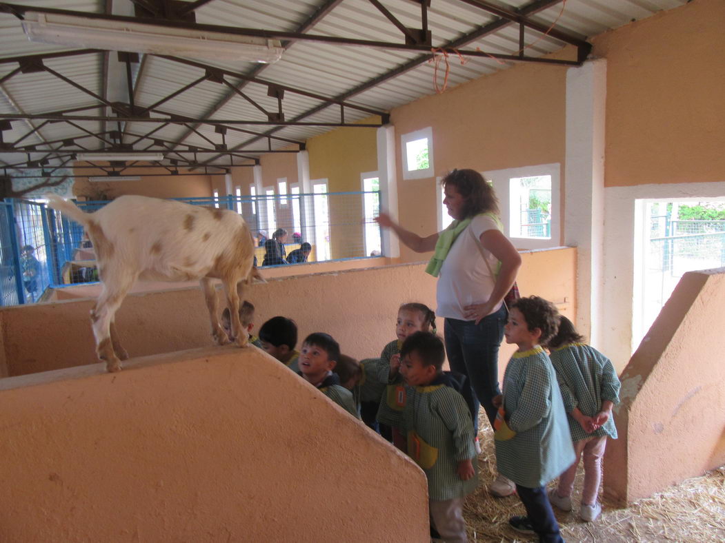 escuela-infantil-carabanchel