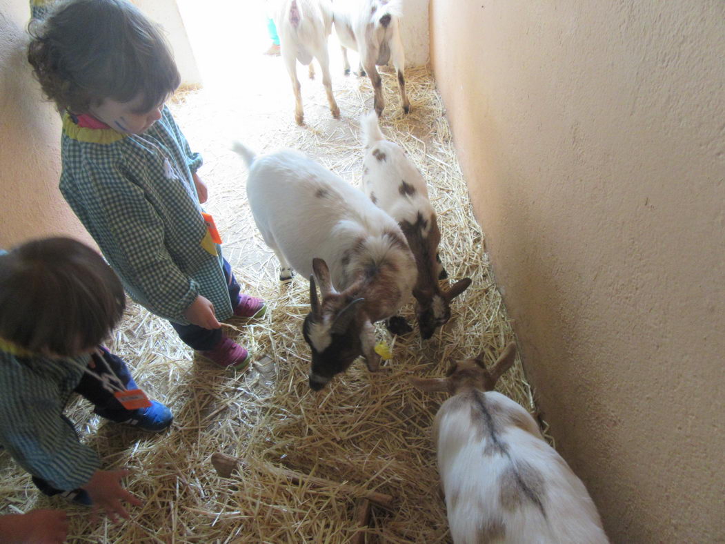 escuela-infantil-carabanchel