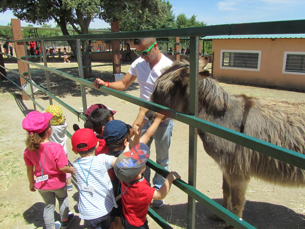 escuela-infantil-carabanchel