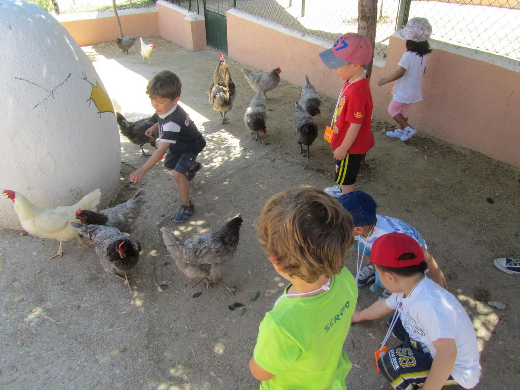 escuela-infantil-carabanchel