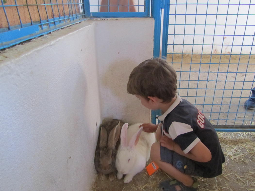 escuela-infantil-carabanchel