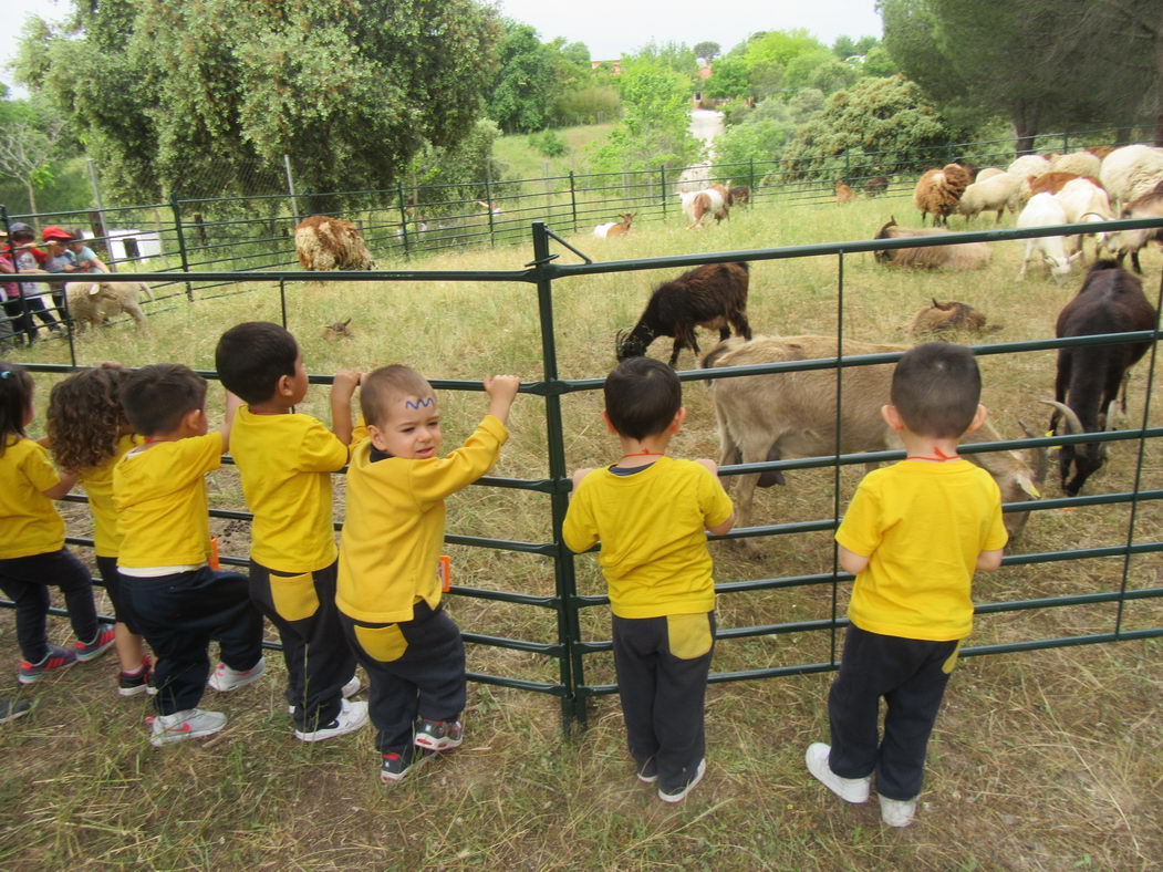 escuela-infantil-carabanchel