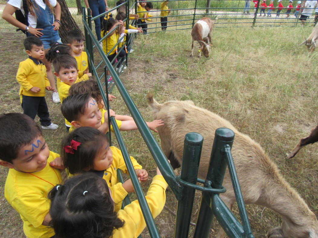 escuela-infantil-carabanchel