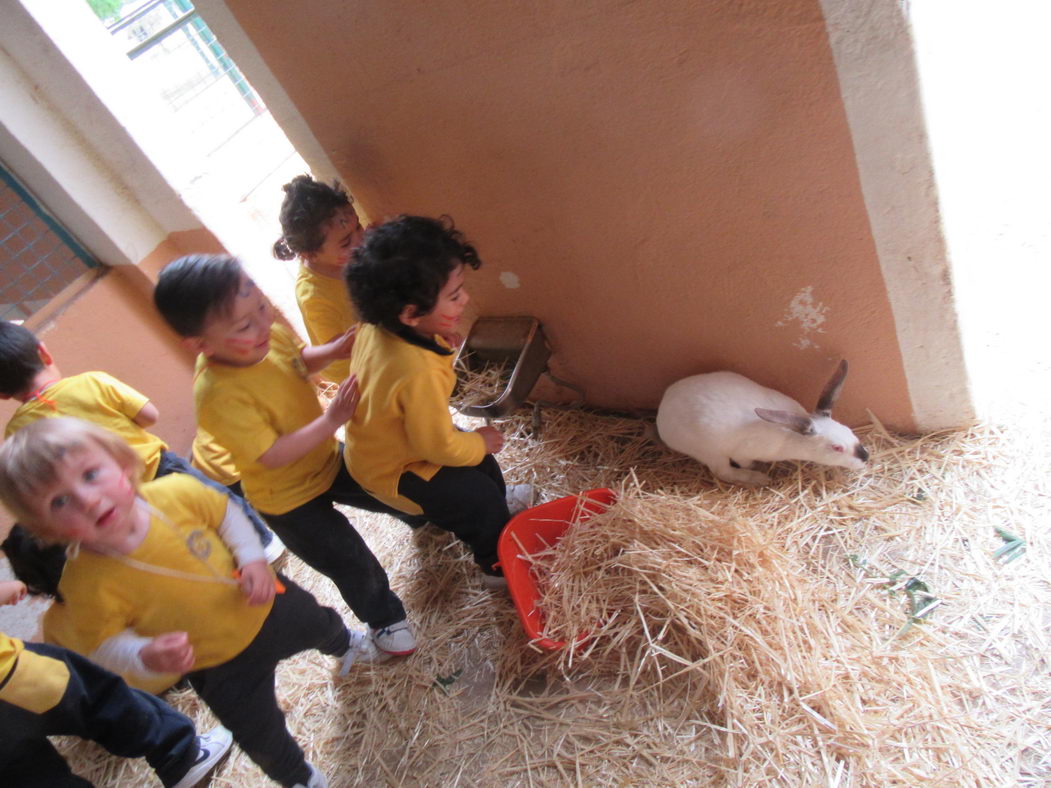 escuela-infantil-carabanchel