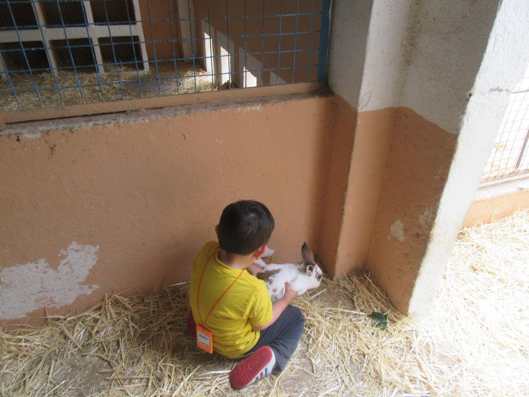 escuela-infantil-carabanchel