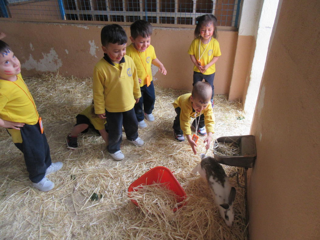 escuela-infantil-carabanchel