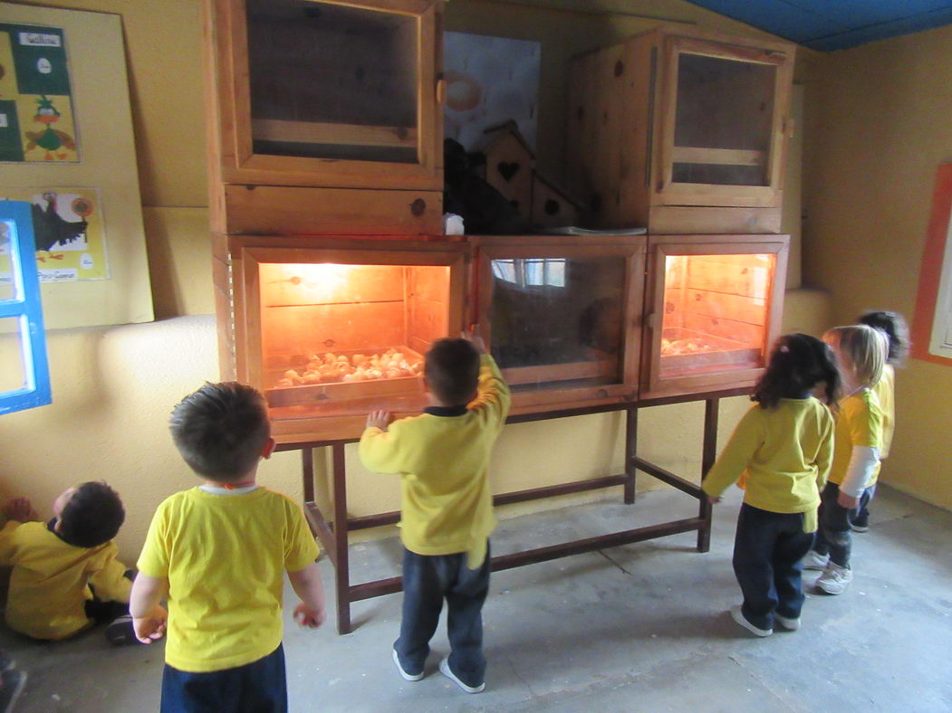 escuela-infantil-carabanchel