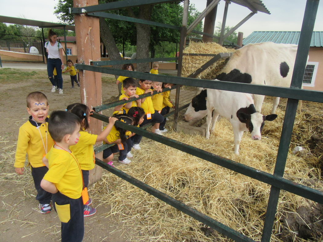 escuela-infantil-carabanchel